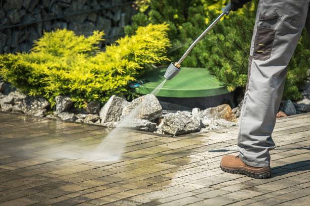 Best Animal Enclosure Cleaning  in Newman, CA