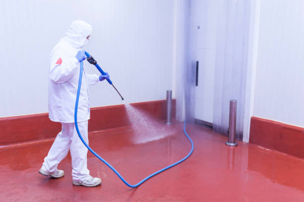 Best Driveway Pressure Washing  in Newman, CA
